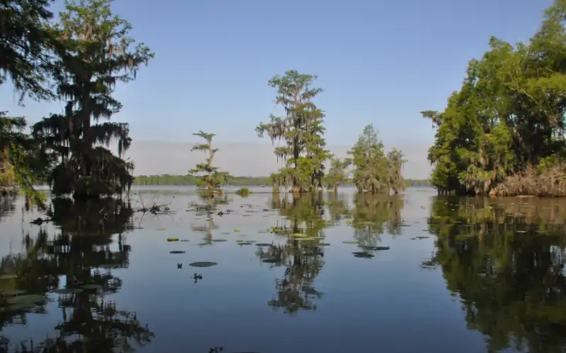 marais louisiane